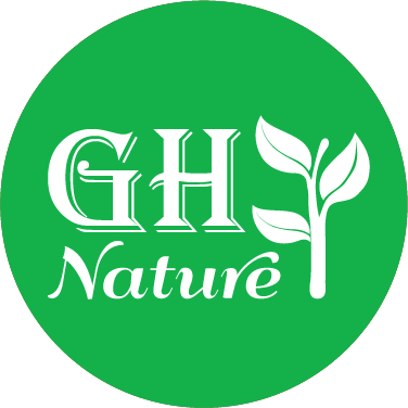 Bách Hóa Gia Huy 2021