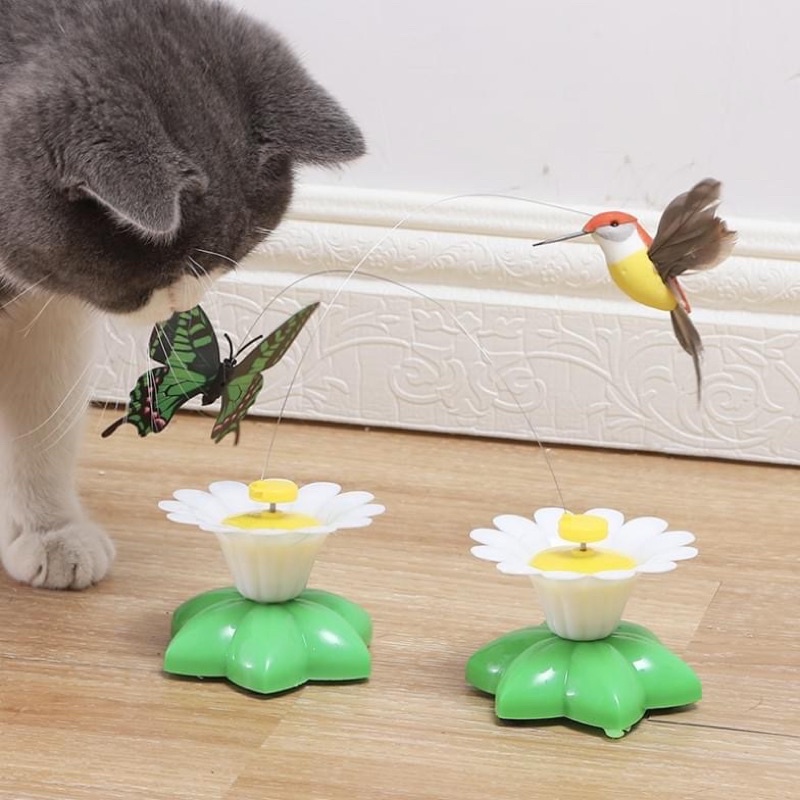 Bươm bướm điện cho mèo chơi