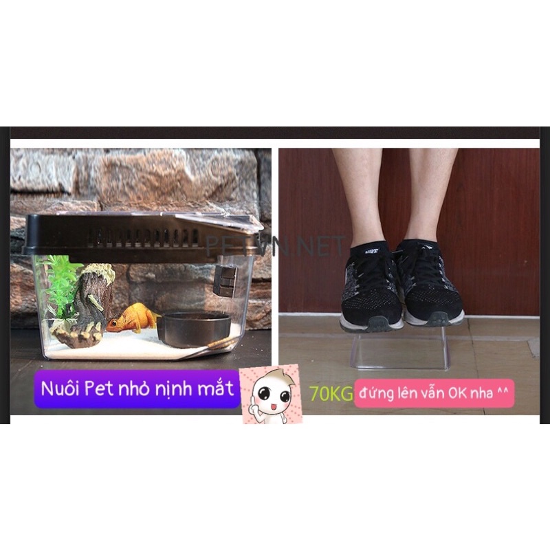 HỘP thông minh TÁCH BABY, NUÔI PET BABY, PET NHỎ.