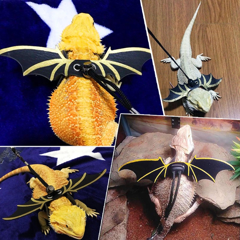 Bộ Dây Dắt Thằn Lằn May Mắn Kèm Túi Đựng Có Cánh Có Thể Điều Chỉnh Mang