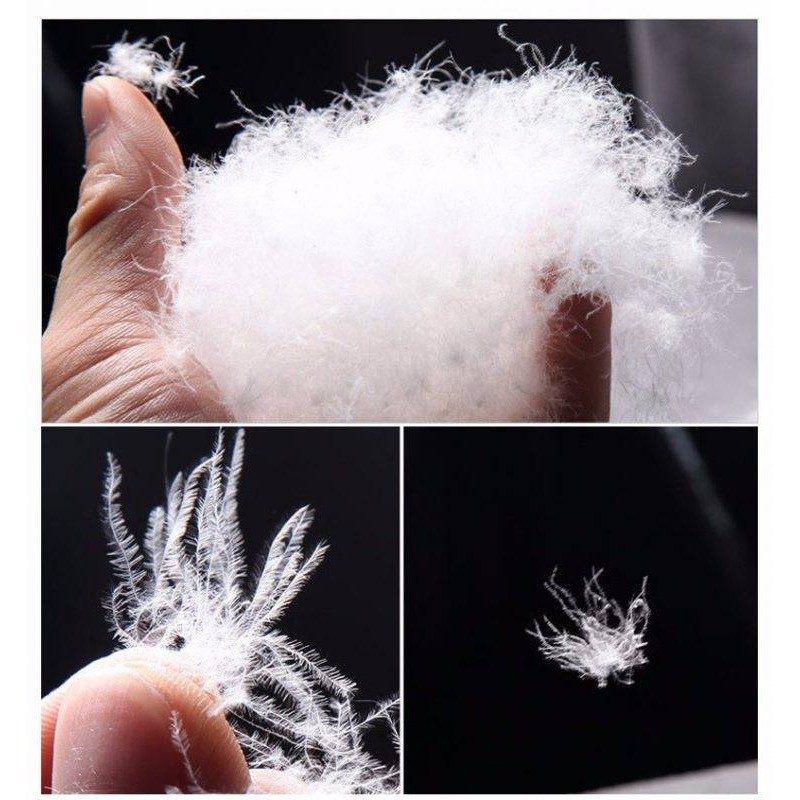 Áo Phao Nam Nữ Siêu Nhẹ Chống Nước Có Mũ Tháo Rời  Kiểu Dáng Thể Thao , Áo Khoác Nam Nữ phong cách hàn quốc Giá Hủy Diệt | BigBuy360 - bigbuy360.vn