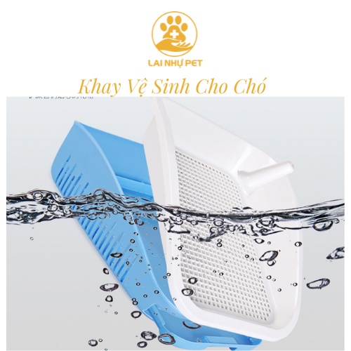 KHAY VỆ SINH CHO CHÓ CAO CẤP - LAI NHỰ PET