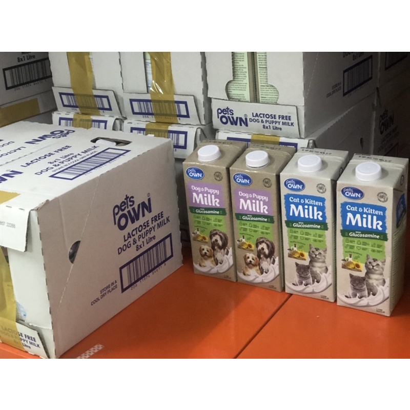 Sữa úc chó mèo Pets own 1L sữa bò dễ tiêu hoá, dinh dưỡng cún mèo lớn bầu con Con Mèo Xiêm