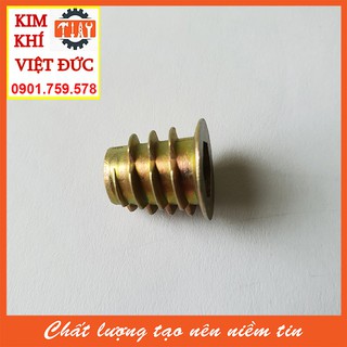 Túi ốc cấy gỗ phi 6 - 100 con