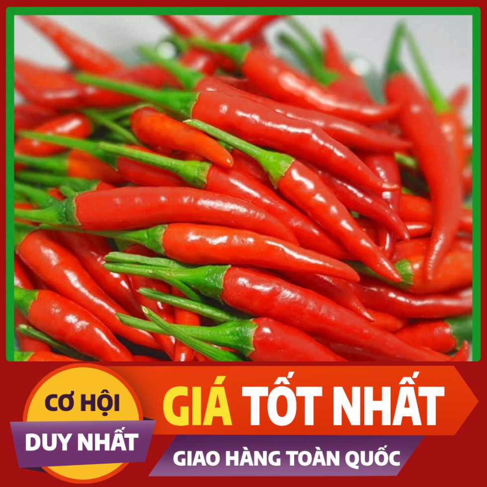 Hạt giống Ớt Chỉ Thiên