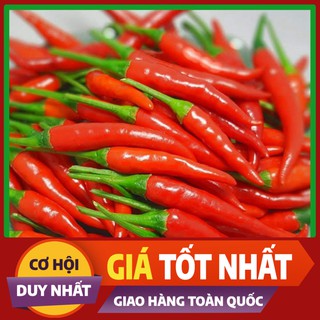 Hạt giống Ớt Chỉ Thiên