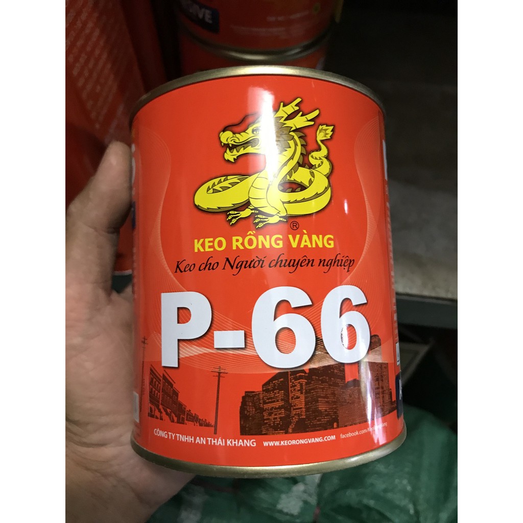 KEO RỒNG VÀNG P66 LOẠI 600G-3.3KG