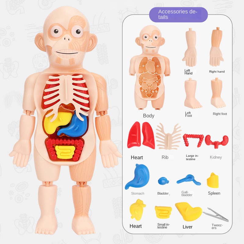 Mô Hình Đàn organ DIY Đồ Chơi Cho Bé GYLMY386