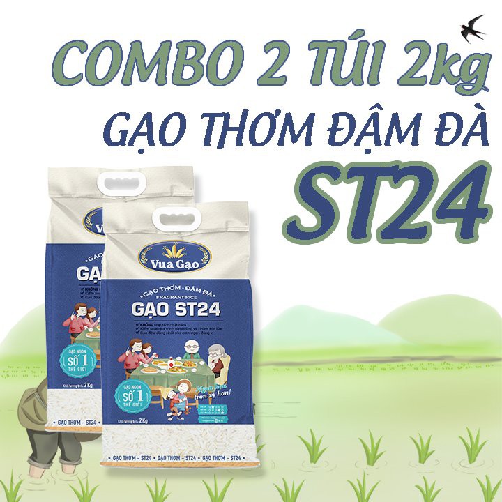 Combo 2 Túi Gạo ST24 2kg Thơm Ngon, Dẻo Nhiều, Vị Ngọt Hậu – Thương hiệu Vua Gạo