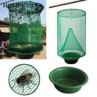 Bẫy Bắt Ruồi Hiệu Quả
