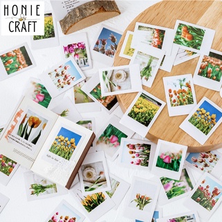 Hộp 46 tranh mini Tulip season Nhãn dán hình hoa Tulip Mo.Card