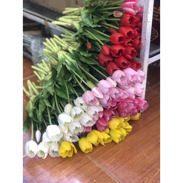 Bó 5 bông Tuylip cao su 40cm giống y như thật