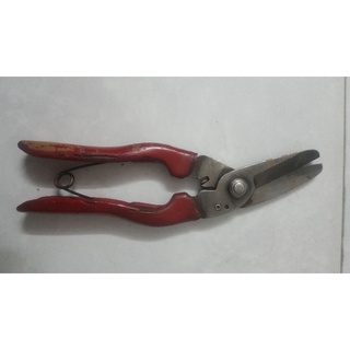 kéo Cắt cành, tôn nhật bãi