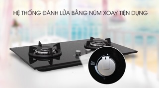 Bếp gas âm elextronux