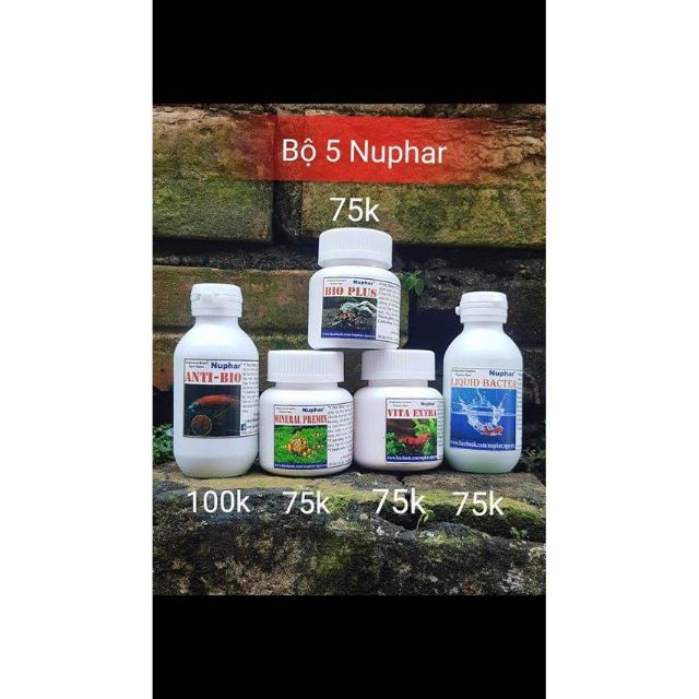 Nuphar Bio Plus - Men Tiêu Hoá - Khử Độc Dành Cho Cá