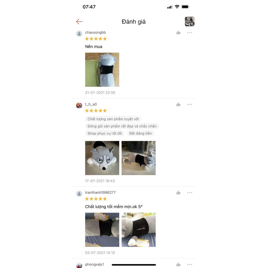 Gấu Bông Chó Husky Size 100Cm Có Áo Hàng Cao Cấp Chất Liệu Vải Nhung Co Dãn 4 Chiều Xuất Dư Siêu Thị