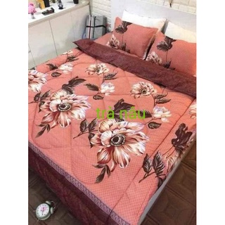 Bộ chăn phao ga gối polycotton 5 món