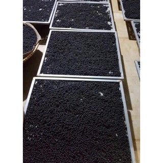 500gr viên hà thủ ô đỏ mật ong