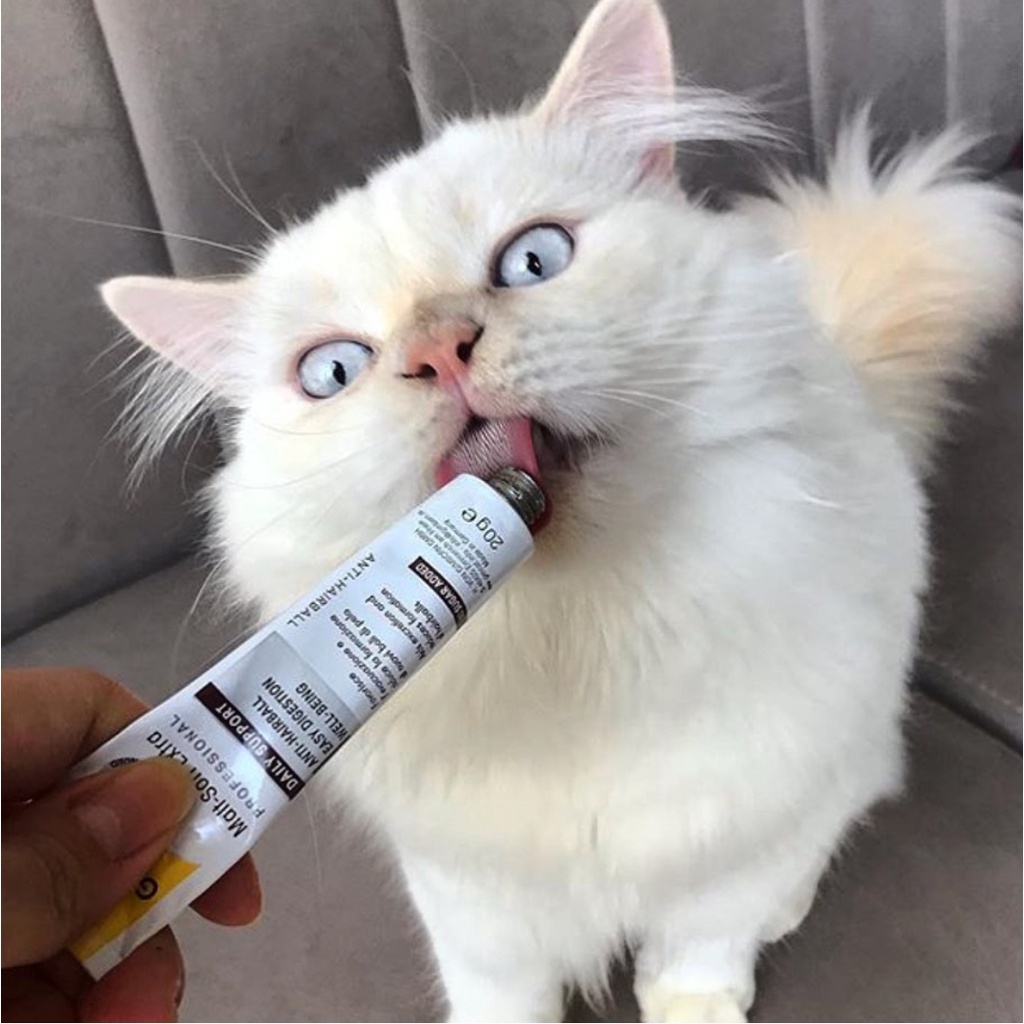 GIMCAT MALT SOFT ANTI HAIRBALL Gel tiêu búi lông cho mèo chính hãng