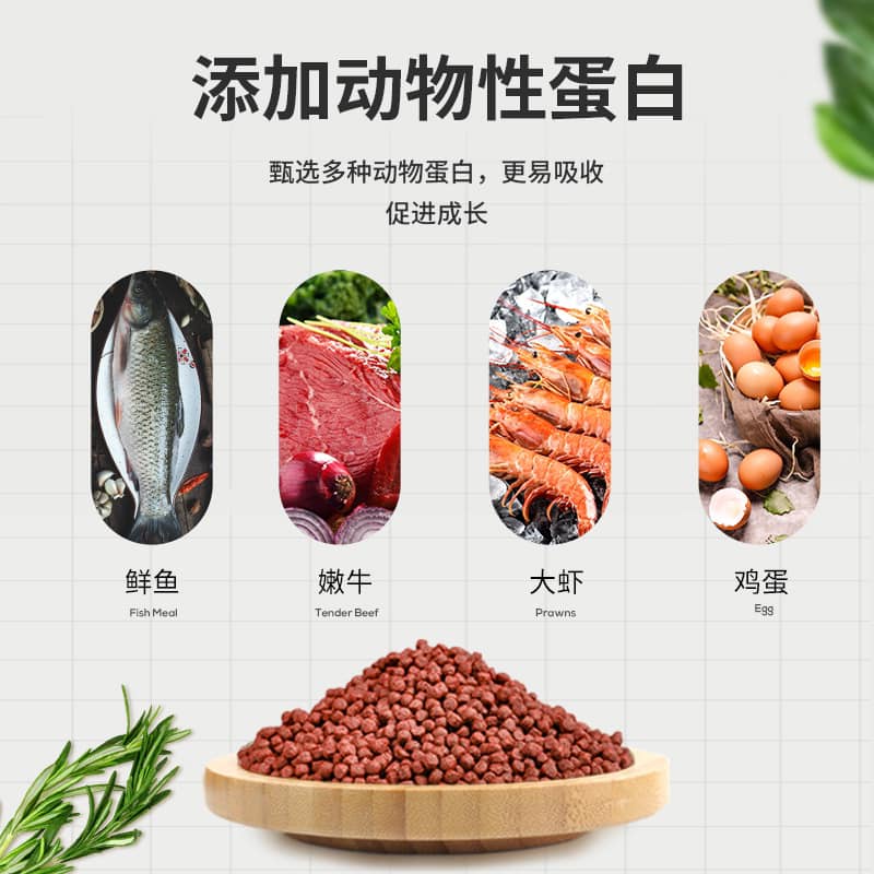 THỨC ĂN CHO CÁ HỒNG KÉT TĂNG MÀU