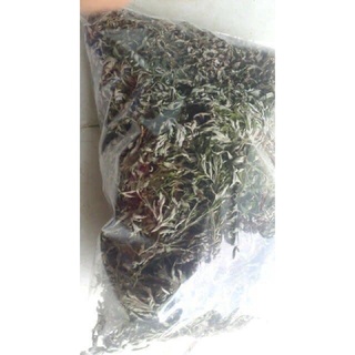 1KG CÂY NGẢI CỨU KHÔ( CAM KẾT THƠM , MỚI, SẠCH )
