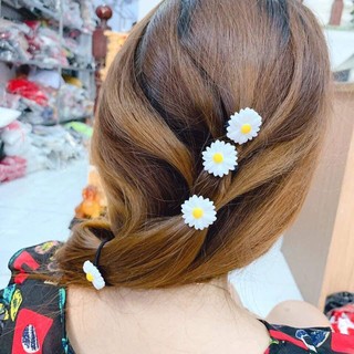 KẸP CÚC HỌA MI ĐỦ LOẠI