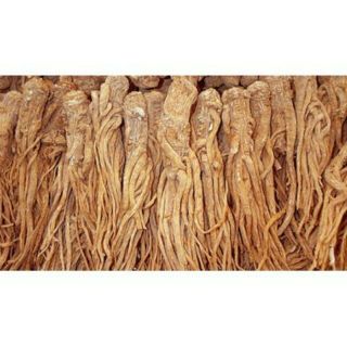 Combo 2kg sâm đương quy khô