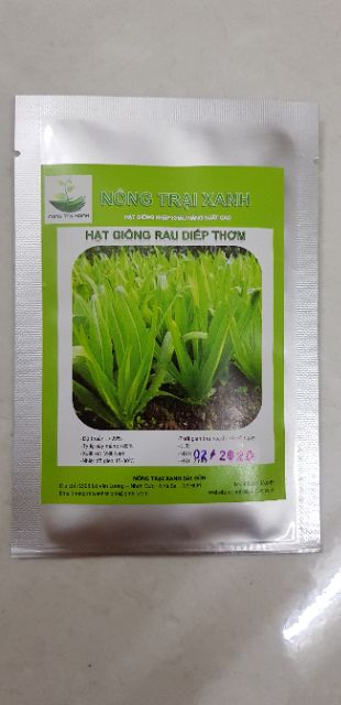 Hạt Giống Rau Diếp Thơm Đặc Biệt (5Gr)- Giàu Dinh Dưỡng Thơm ngon