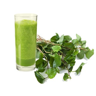 [ Mua 3 tặng 1 ] Bột Rau Chùm Ngây ISITO 50G