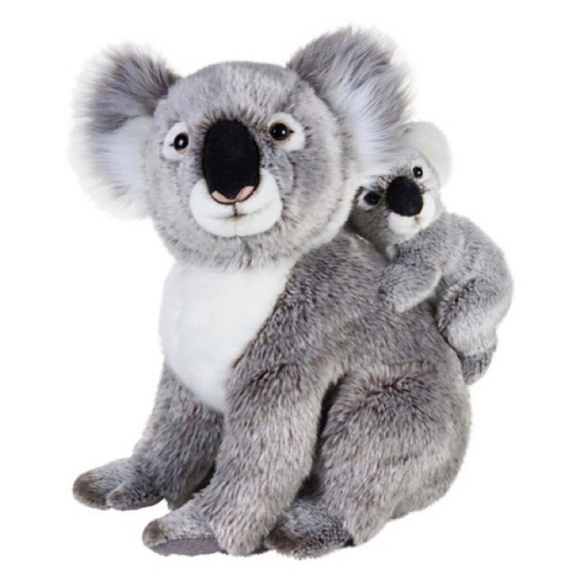 SET KOALA NHỒI BÔNG ĐỦ SIZE