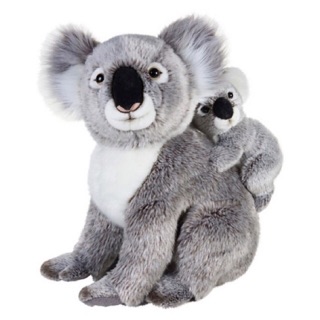 Set koala nhồi bông đủ size