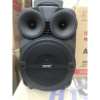 Loa kéo karaoke Temeisheng A8-10