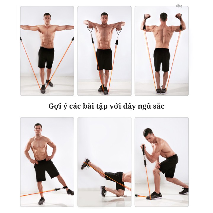 Bộ dây ngũ sắc tập gym 11 món NS11