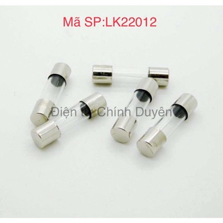 Cầu chì 4a, 5x20mm, cầu chì ống thuỷ tinh 4a