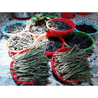 Dầu Gội Thảo Dược