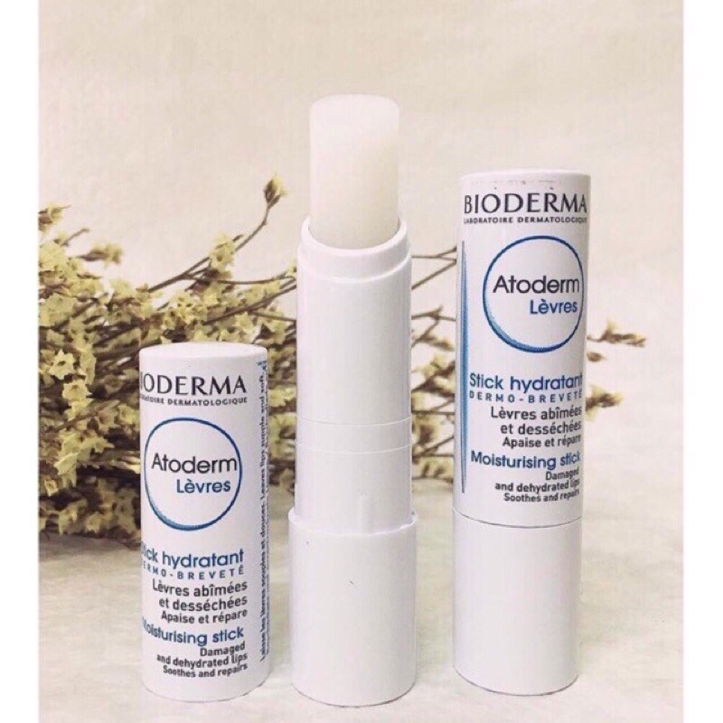 SON DƯỠNG MÔI BIODERMA ATODERM LÈVRES STICK HYDRATANT MOISTURISING STICK