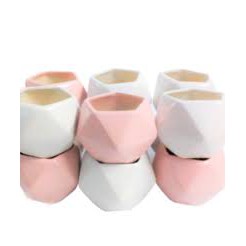 Chậu Sứ Kim Cương 6 Cạnh- Trồng Sen Đá, Xương Rồng, Cây Mini Để Bàn