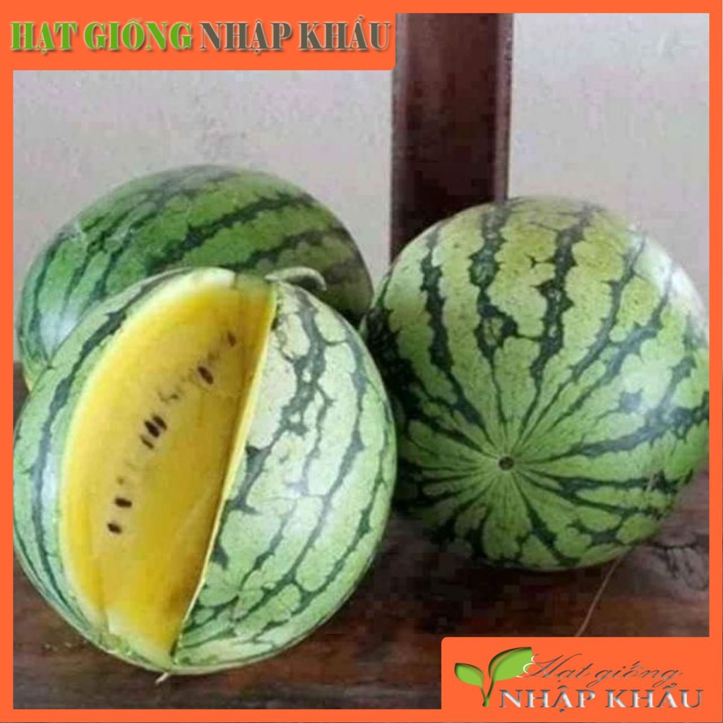 Hạt giống dưa hấu ruột vàng 3a Thái lan. 12 hạt/gói