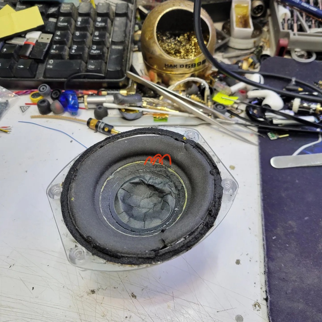 Pin loa Harman Kardon Go Play