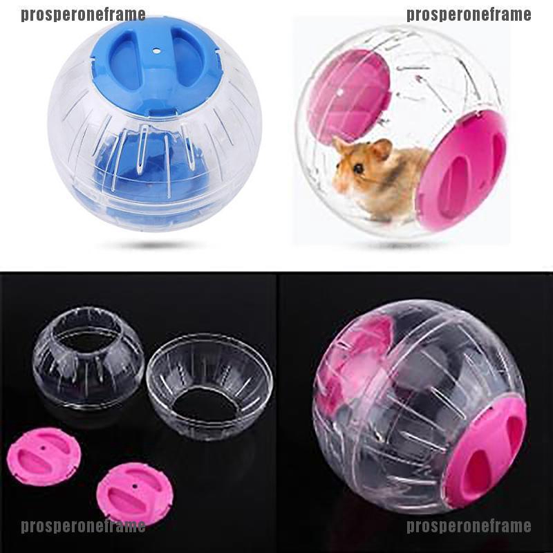 Bóng Nhựa Di Động Tập Thể Dục Cho Chuột Hamster