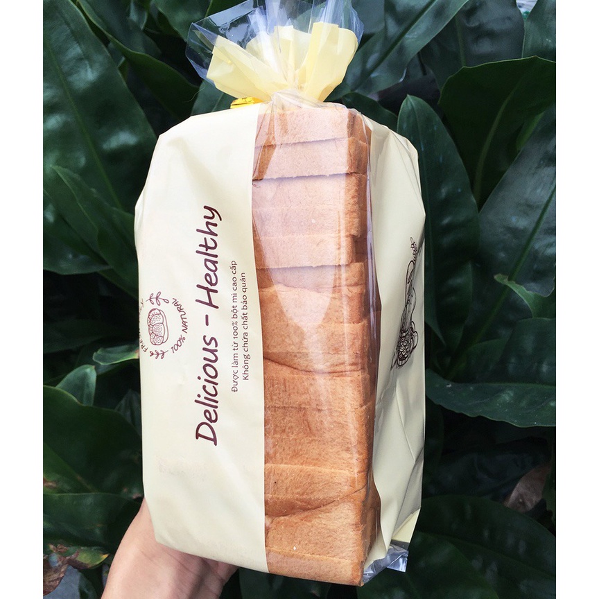 Túi Sandwich Xếp Hông ~ Delicious Healthy