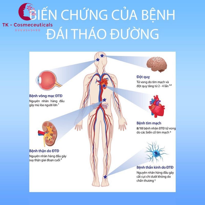 NOVODIA ngăn ngừa biến chứng tiểu đường, điều hòa mỡ máu hộp 30 viên