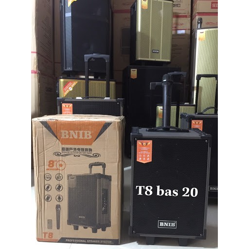 Loa kéo di động BNIB -T8 Hát karaoke , nghe nhạc - tặng 2 tay mic - BASS 20 - bảo hành 12 tháng