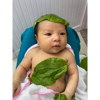 BẾP HƠ LÁ TRẦU - HƠ MẶT