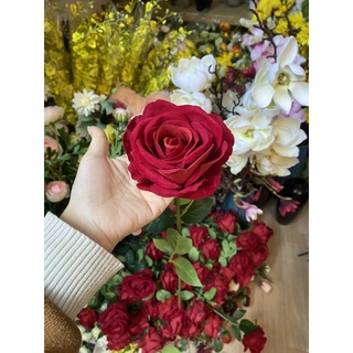 Mua Hoa hồng nhung đỏ hoa lụa cao cấp đẹp như thật cành dài 75cm