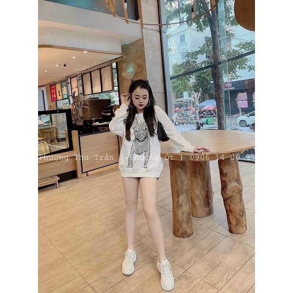 [FREESHIP - HÀNG LOẠI 1] ÁO CÚN DÀI TAY FILE WORK 3 MÀU SIÊU XINH