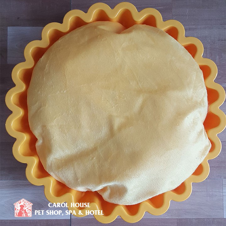 Nệm Ngủ Cho Chó Mèo Hình Trái Tim Và Bông Hoa