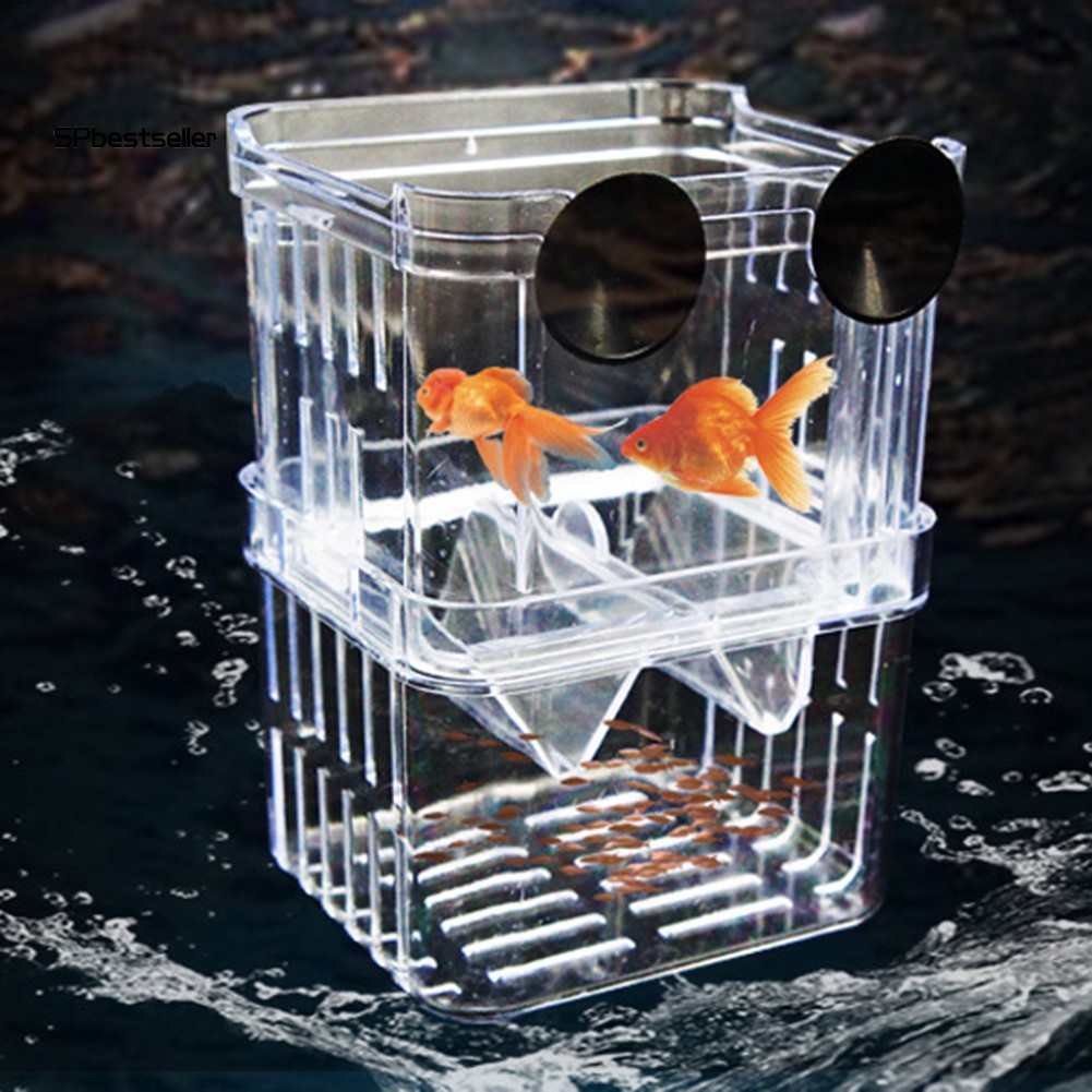 Hộp nuôi cá con cách ly quang bằng nhựa siêu tiện lợi
