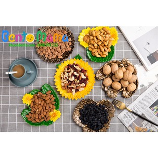 Đĩa xương rồng cây phối hoa