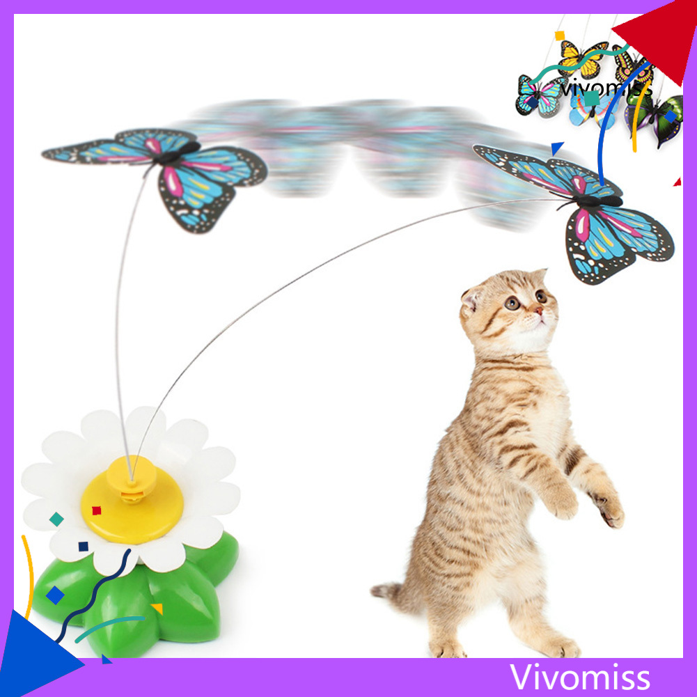Đồ Chơi Bắt Bướm Cho Mèo Cưng